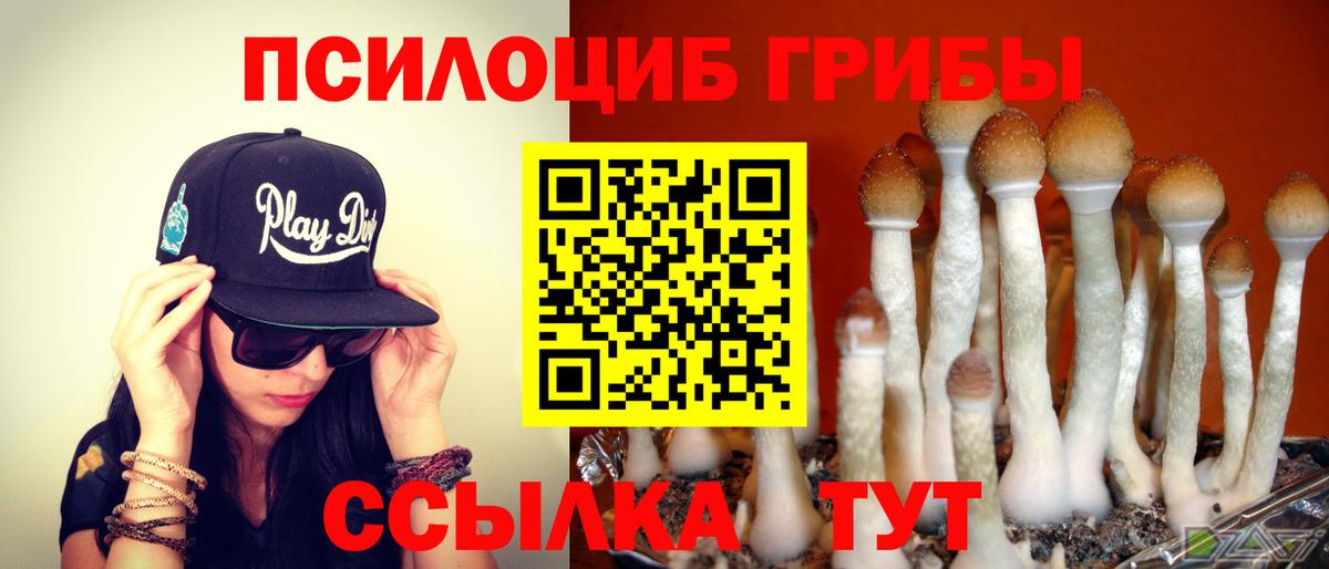 Ковров  Галлюциногенные грибы Magic Shrooms  Псилоцибиновые грибы Cubensis  Вход с VPN 