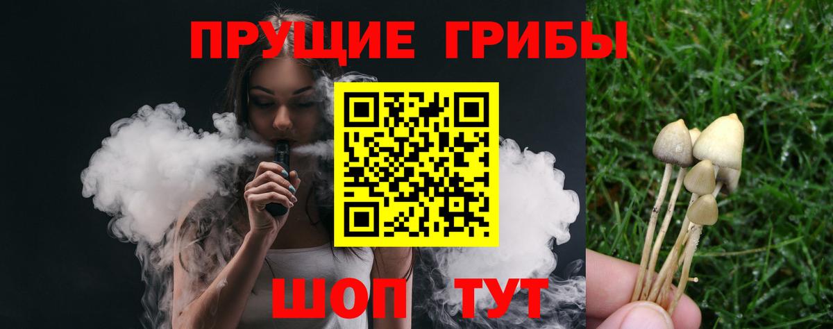 Галлюциногенные грибы Cubensis Ковров